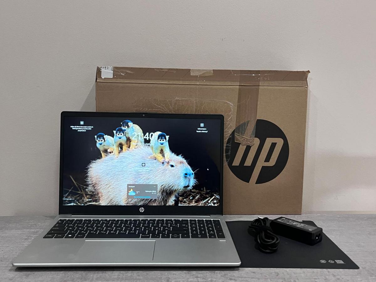 HP 255 G10